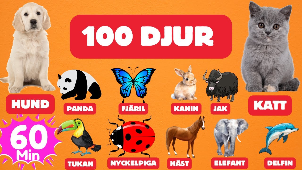100 Populära Djur Och Insekter i Världen | Svenska Ord För Barn | Djurnamn Att Lära Sig