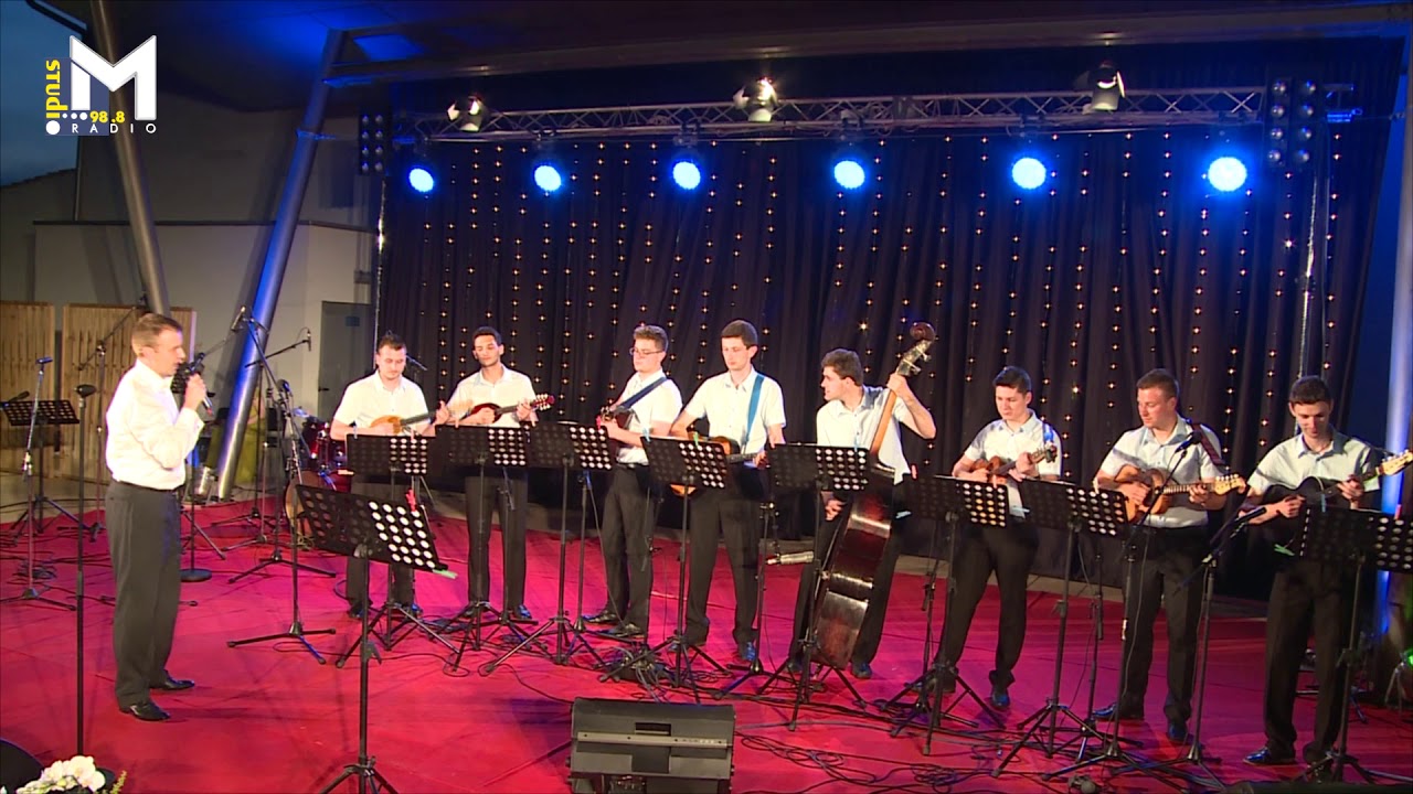 Domagoj Madić uz TS Frikovi - Hator čukovski (festival Kre Mure i Drove, Prelog 2016.)