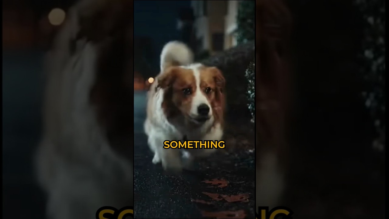 This Dog’s Barking Saved an Entire House