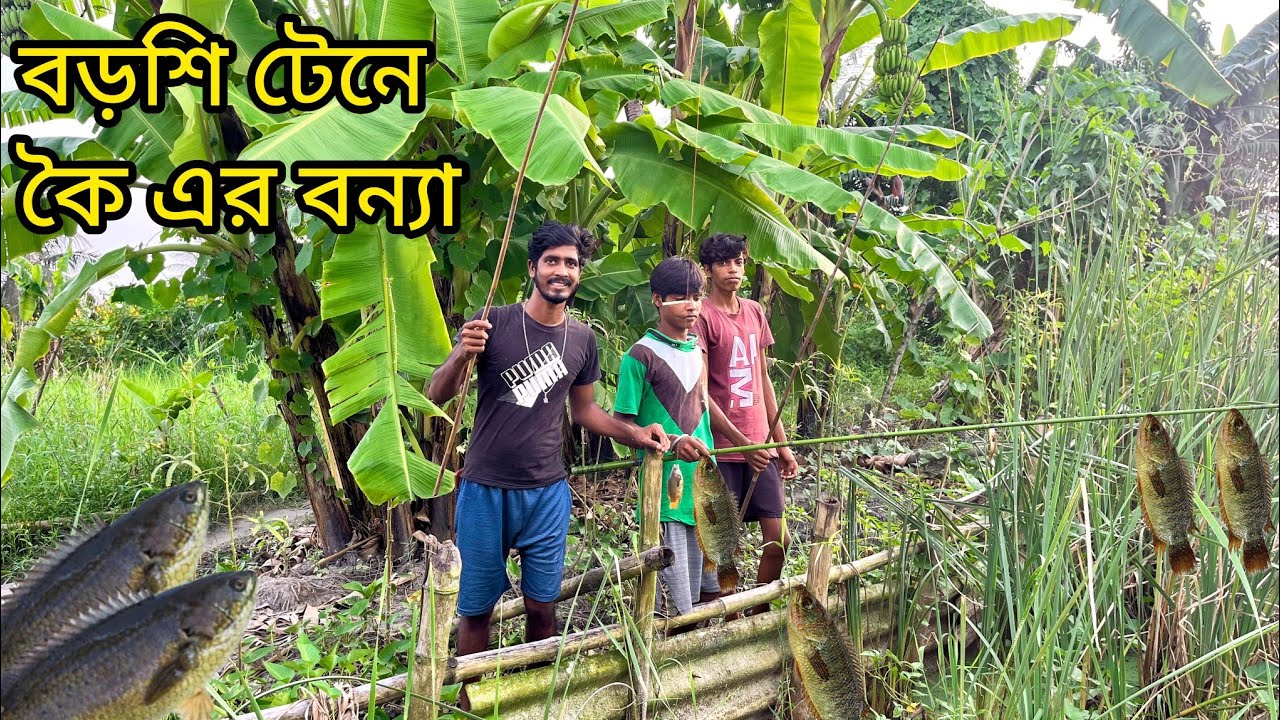 কই মাছ ধরা বড়শি হাতে, খাওয়া-দাওয়া হইলো সাথে। Hook fishing village style 