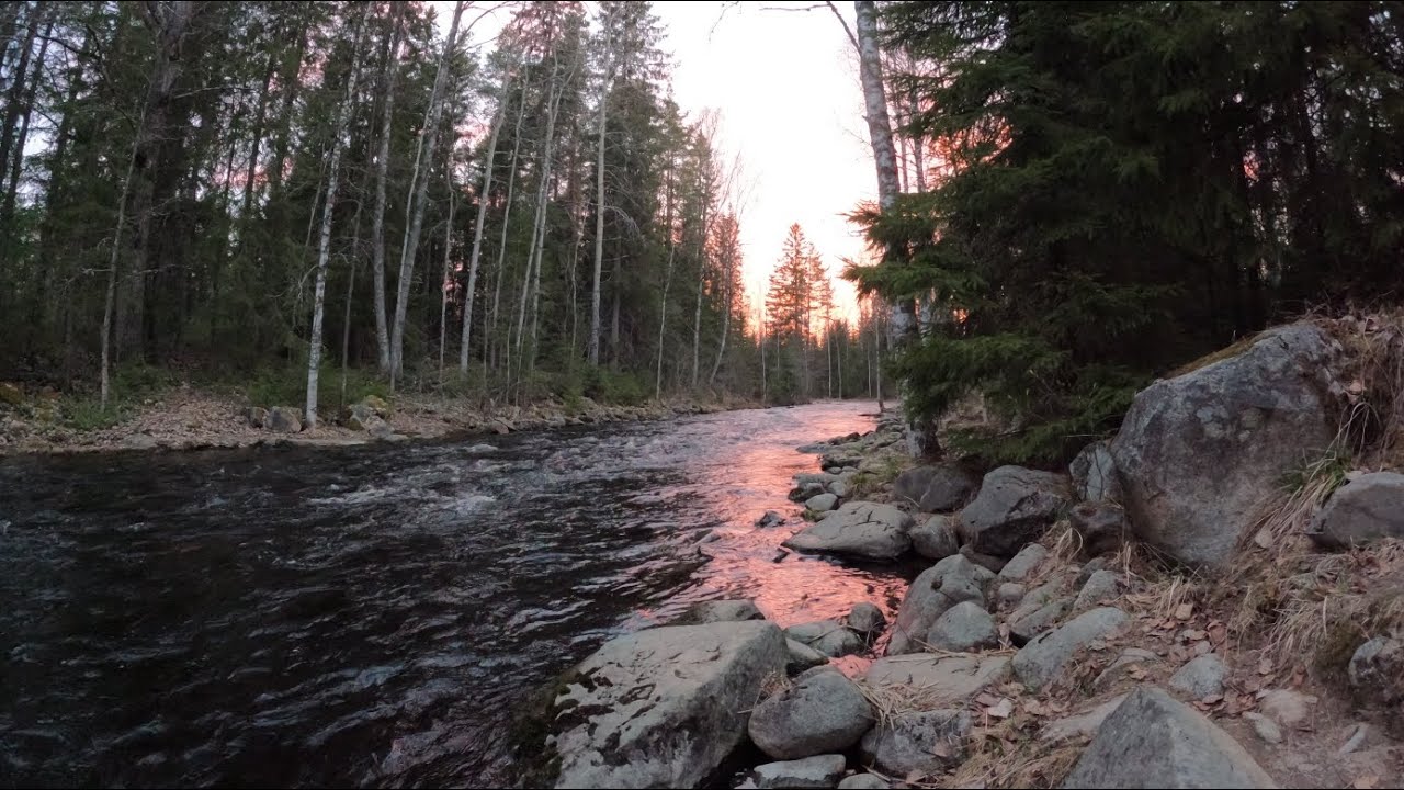 perhokalastus kausi käyntiin hilmolla🎣