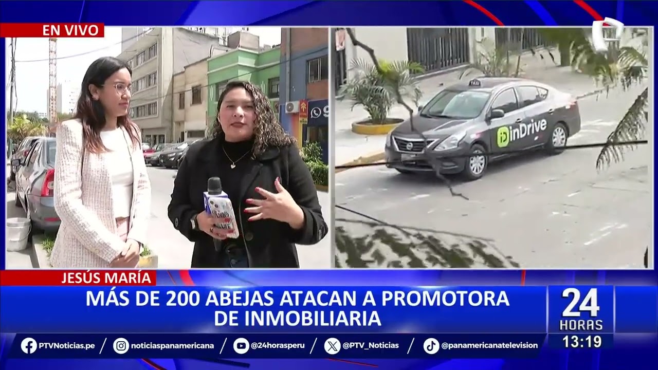 Jesús María: dan de alta a mujer atacada por enjambre de abejas