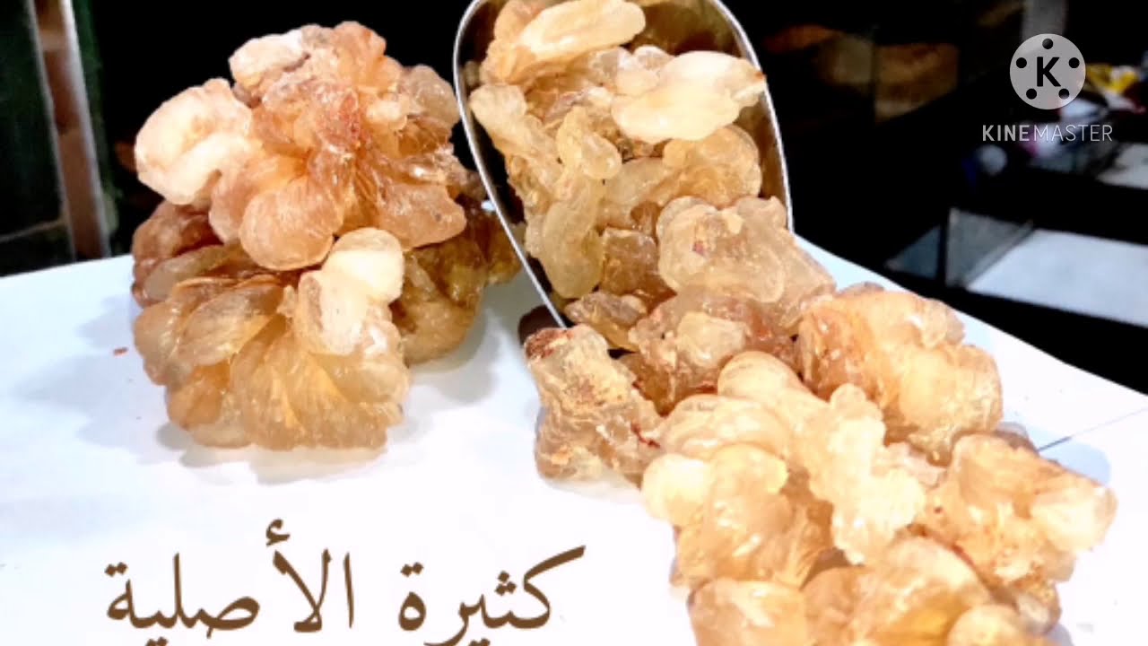 عشبة كثيرة لزيادة الوزن والنحافة في مدة قصيرة
