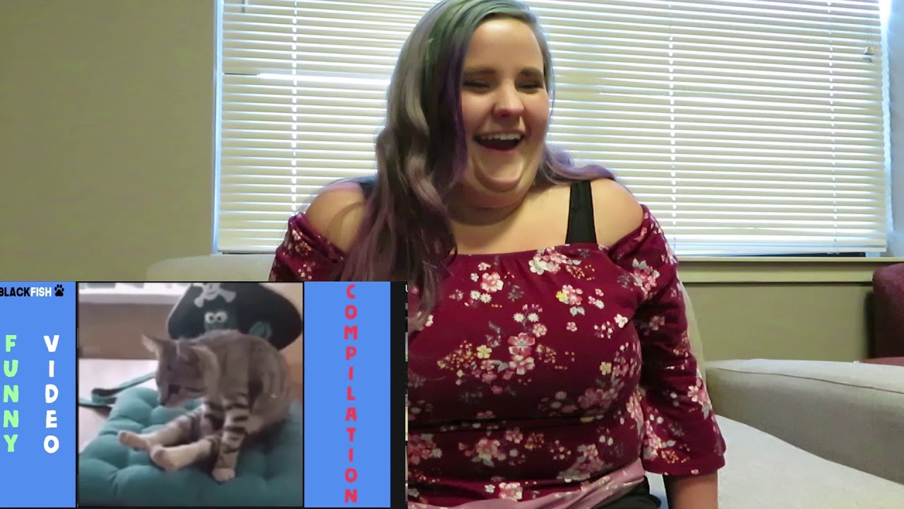 Try not to Laugh Animal Edition