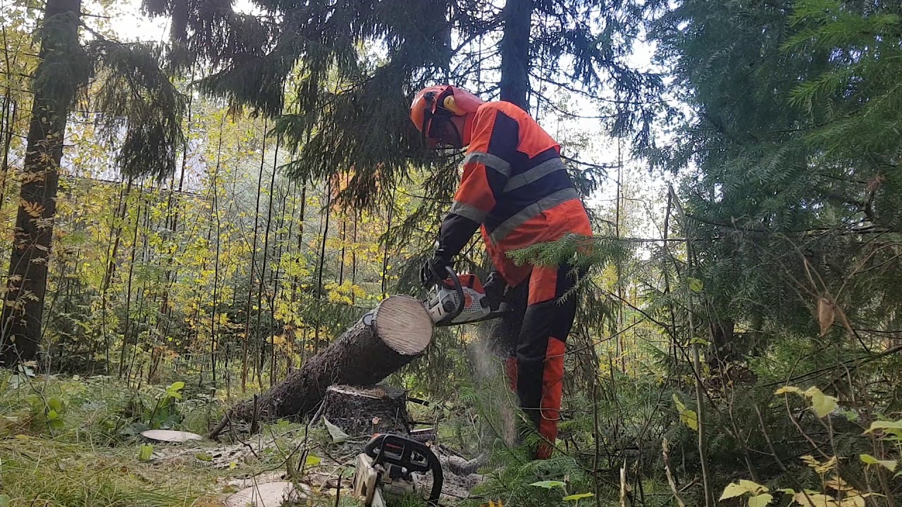 Stihl ms 200 vs. 170 (professional versus homeowner)