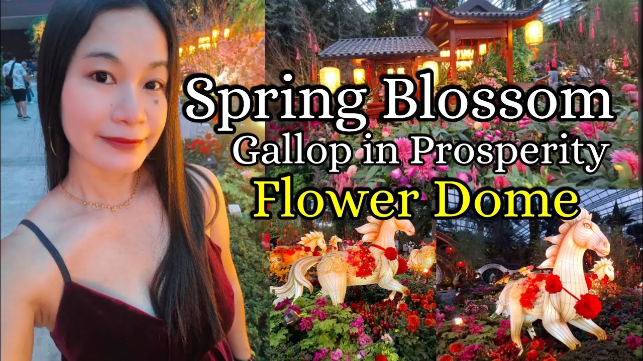 Spring Blossom Gallop in prosperity at Flower Dome || Jovelyn Mirambel