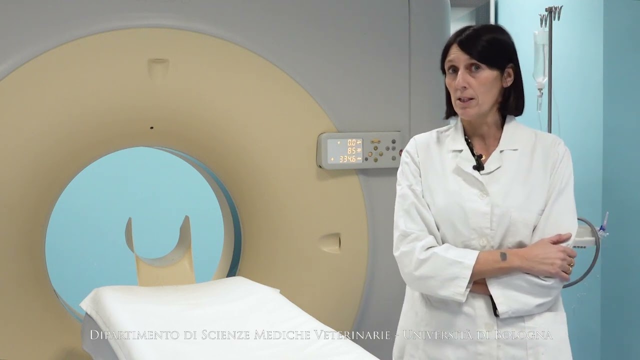 L'Unità di Diagnostica per Immagini del DIMEVET