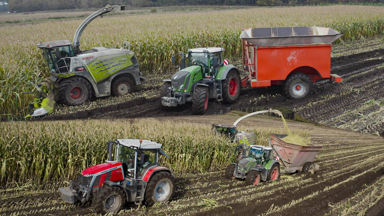 Ensilage en conditions compliqu&eacute;s dans les sables noirs I landes 2024 I Forage harvester in the mud