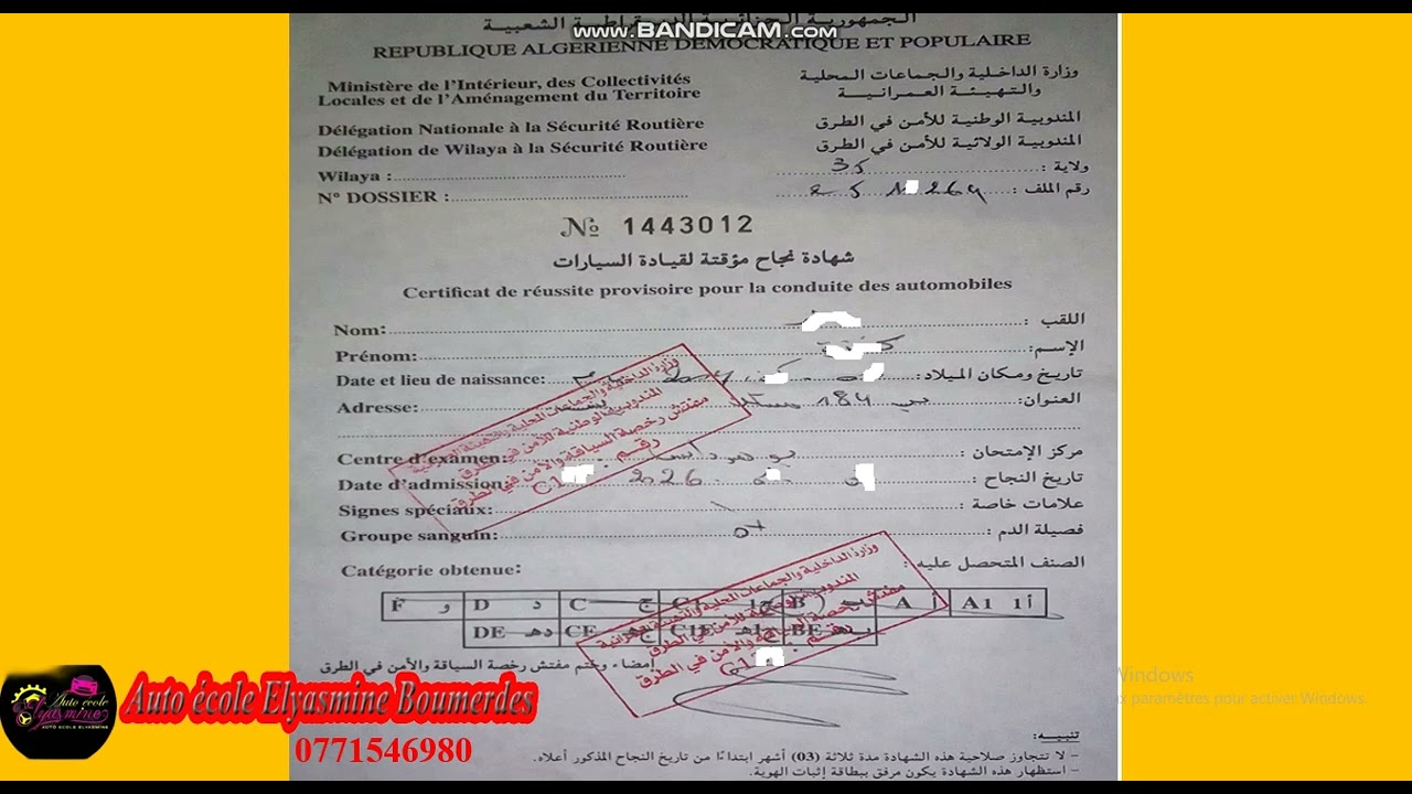 ماذا أفعل بعد النجاح في السياقة