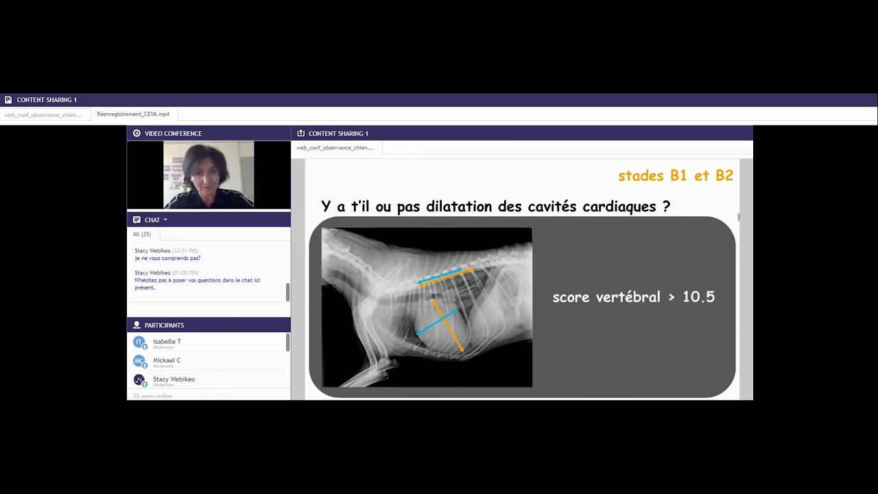 Comment améliorer l'observance du chien cardiaque