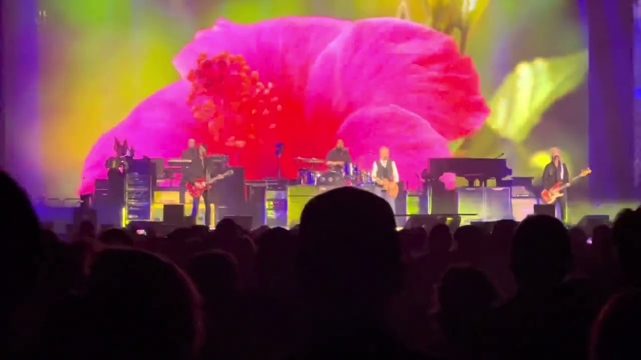 Paul McCartney Getting Better (live)