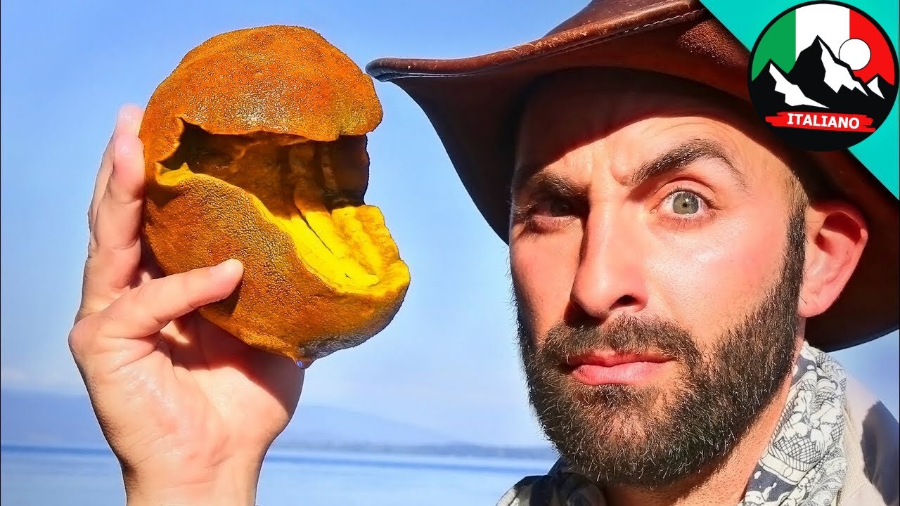 È VIVO! Il Pac-Man del MARE? Scoperte incredibili! | Brave Wilderness Italiano