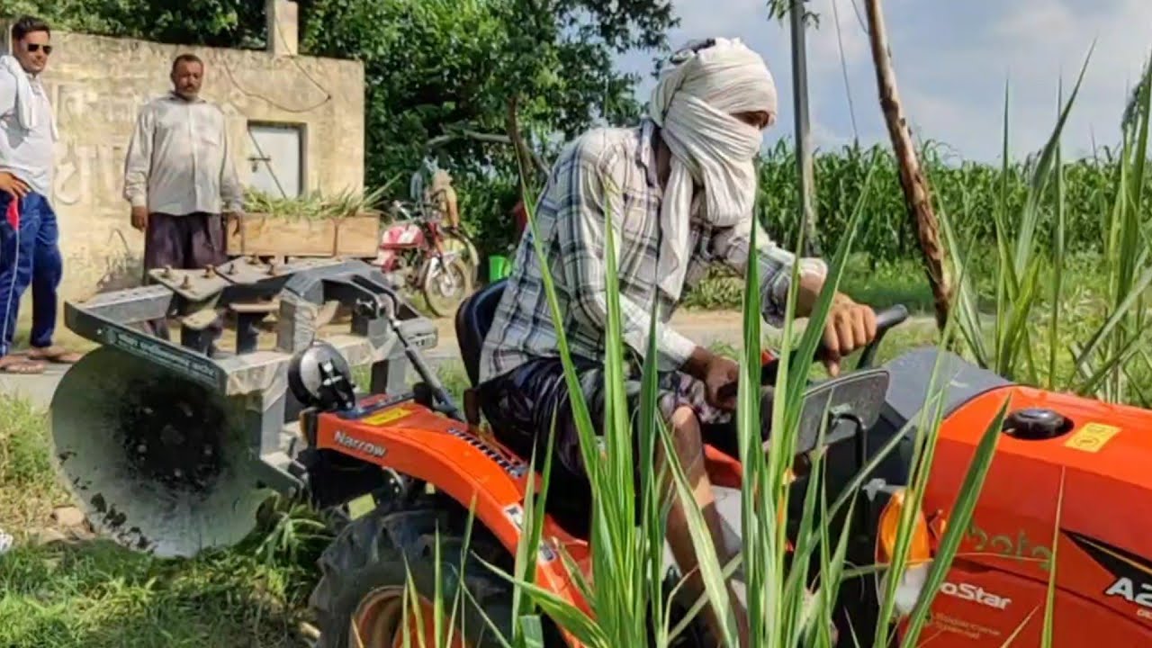 ट्रेंच विधि 48 इंची कोलक 14201 गन्ना पौधे में आज छोटे ट्रैक्टर द्वारा चढ़ाई मिट्टी