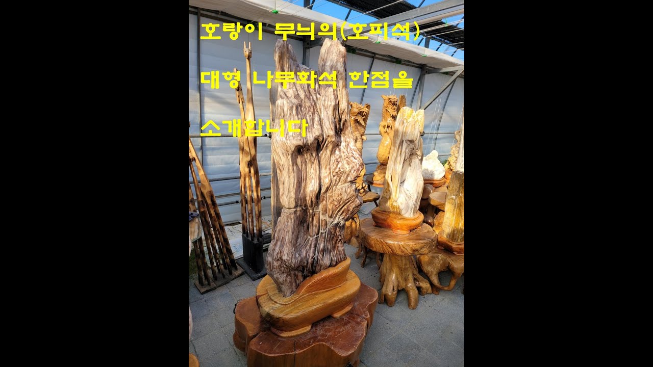 호랑이 무늬(호피석)  대형 입석형태의 나무화석 #자연그대로