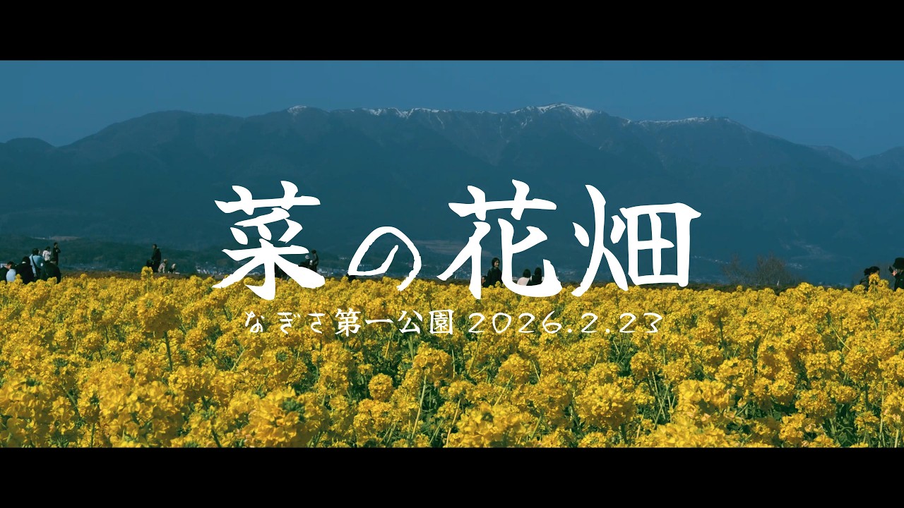 守山「第1なぎさ公園の菜の花畑 2026.02.23」Sigma 30mm F1.4 DC DN | Sony VLOGCAM ZV-E10 II
