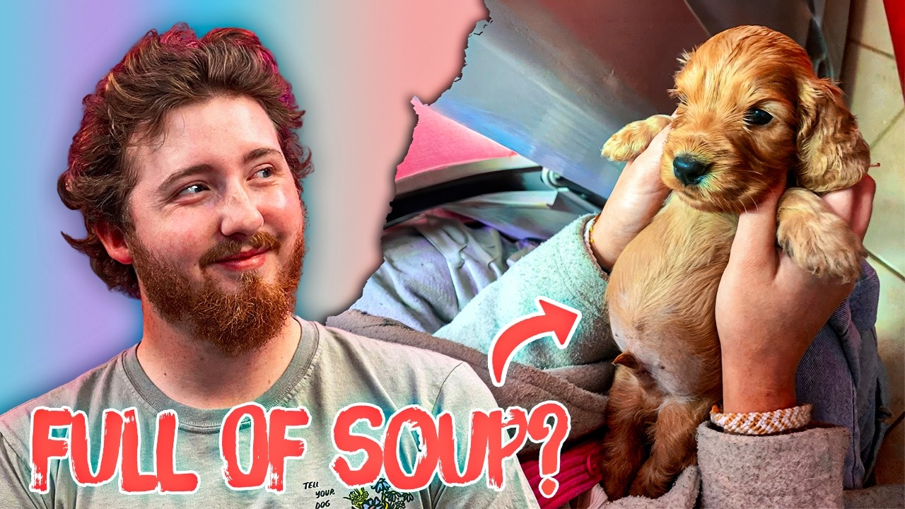 We Found The Cutest Puppies!