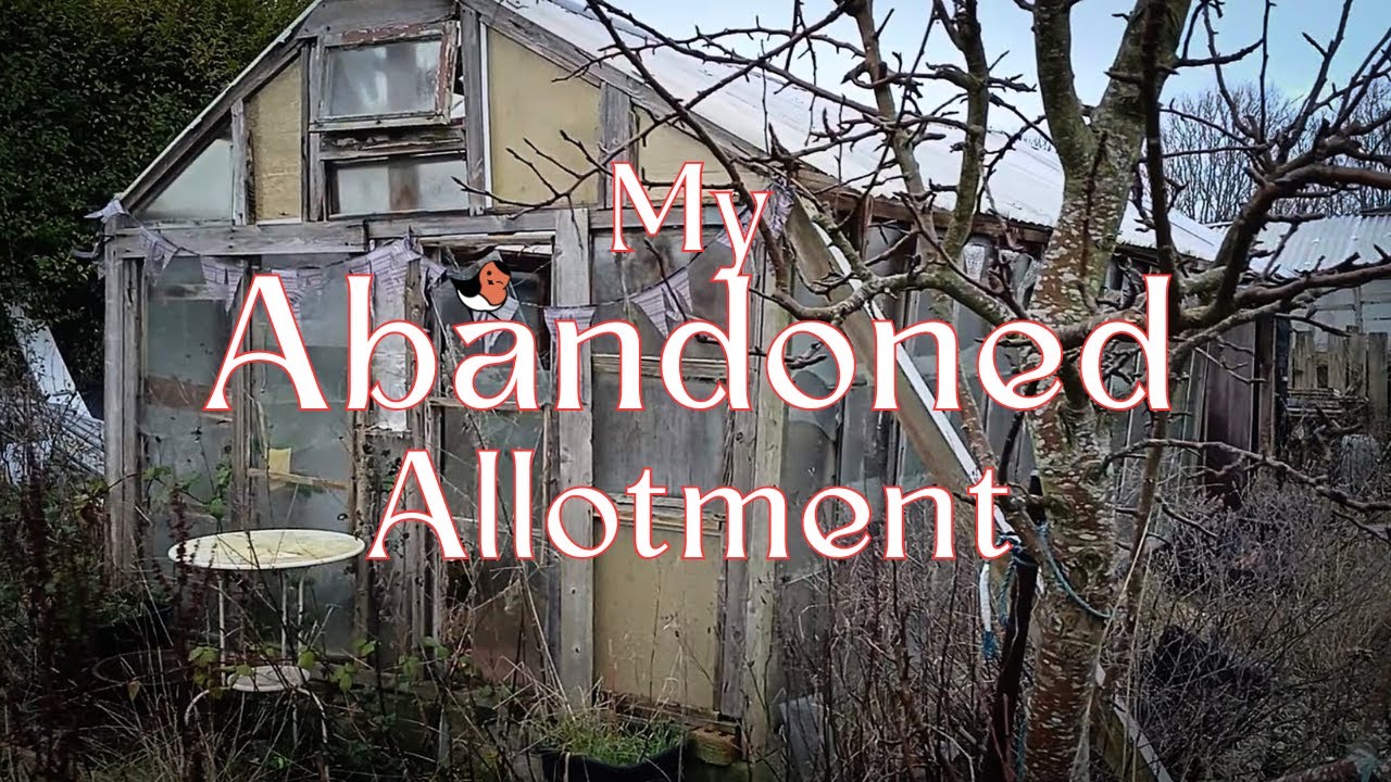 Taking on an Abandoned Allotment - Tour and Fence Fixing - Allotment Diaries 4  #allotmentlife