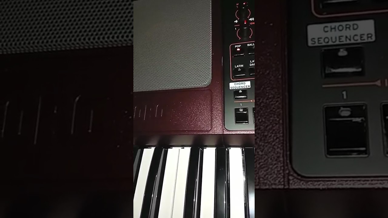 Korg pa 1000