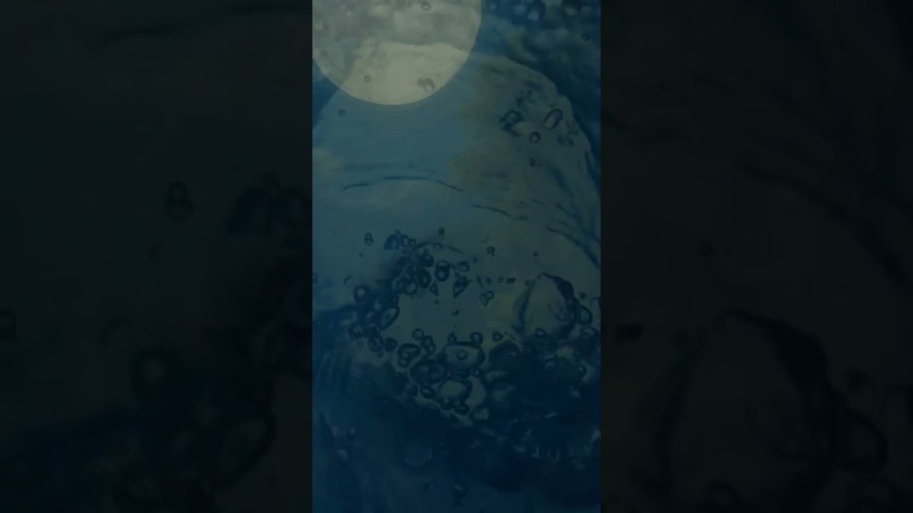 #11 🌙 Chopin – Concierto para piano n.º 1 | Obra maestra romántica completa