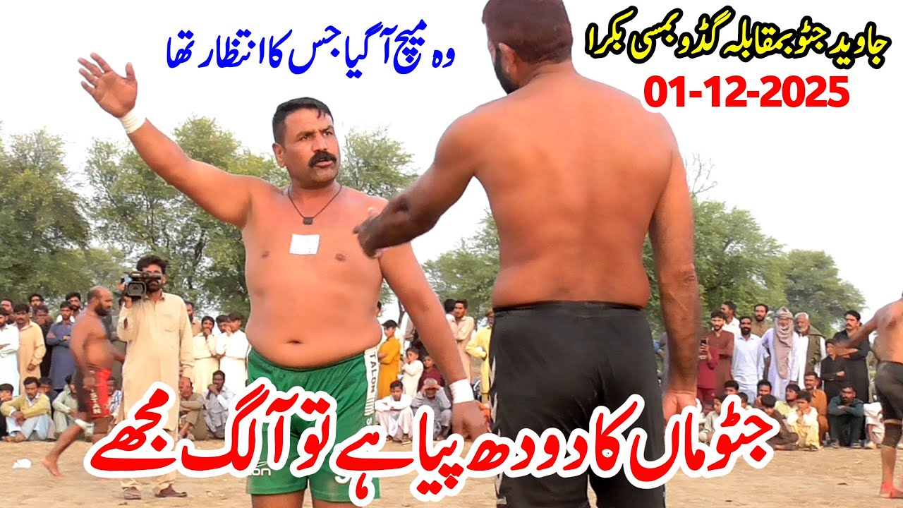Javed Jatto vs Guddu Pathan vs Bamsi vs Acho Bakra | New Kabaddi Match 2025 | Javed Jatto Kabaddi