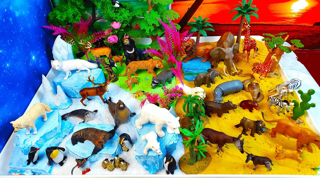 Learn  animals names - Africa , Forests and Polar regions-DIY diorama with magical animal toys