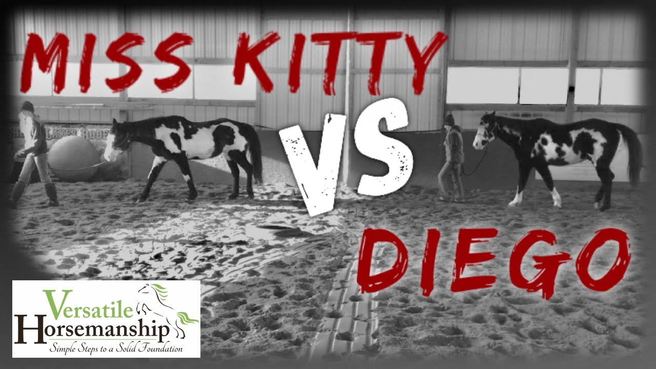 MISS KITTY vs DIEGO // Versatile Horsemanship