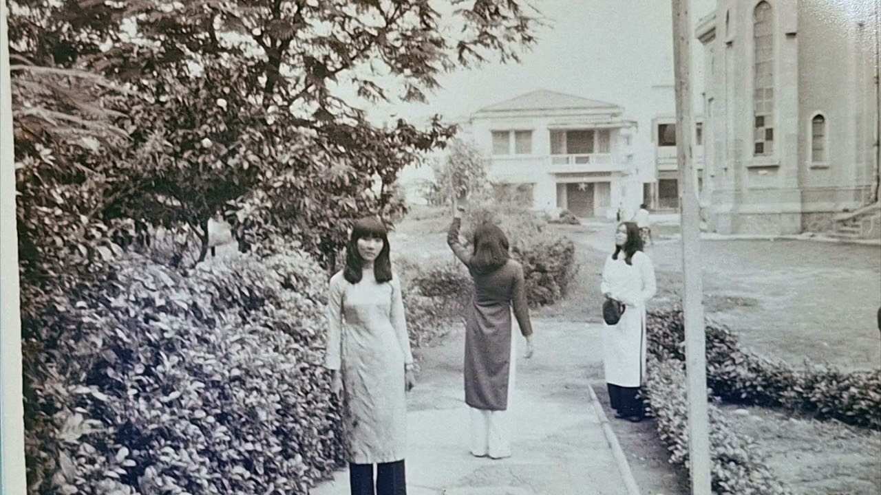 Tiếng Ve Ngân