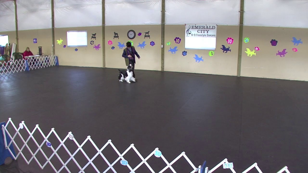 Michele & Deja Vu    Canine Freestyle Pretty Woman