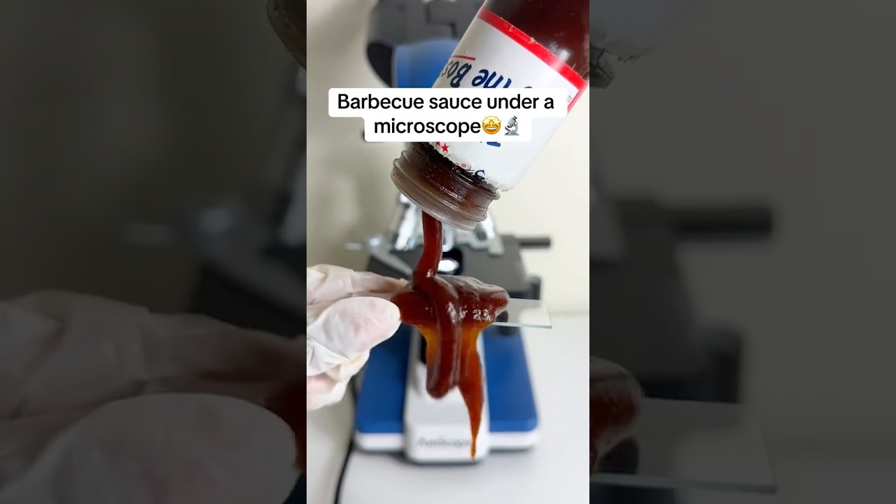 Ever seen BBQ sauce under a microscope? 🤔 (must-see 👀)