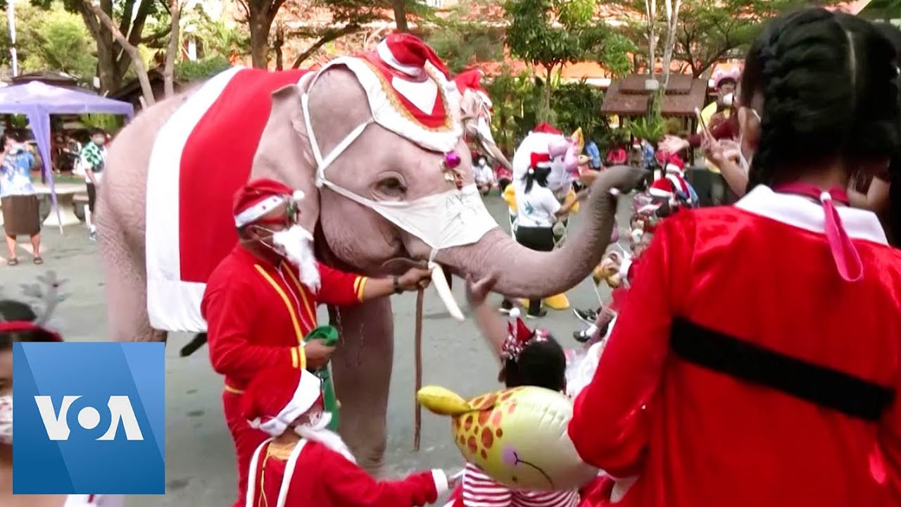 Santas on Elephants Send Thai School Kids Masks and Sanitizer