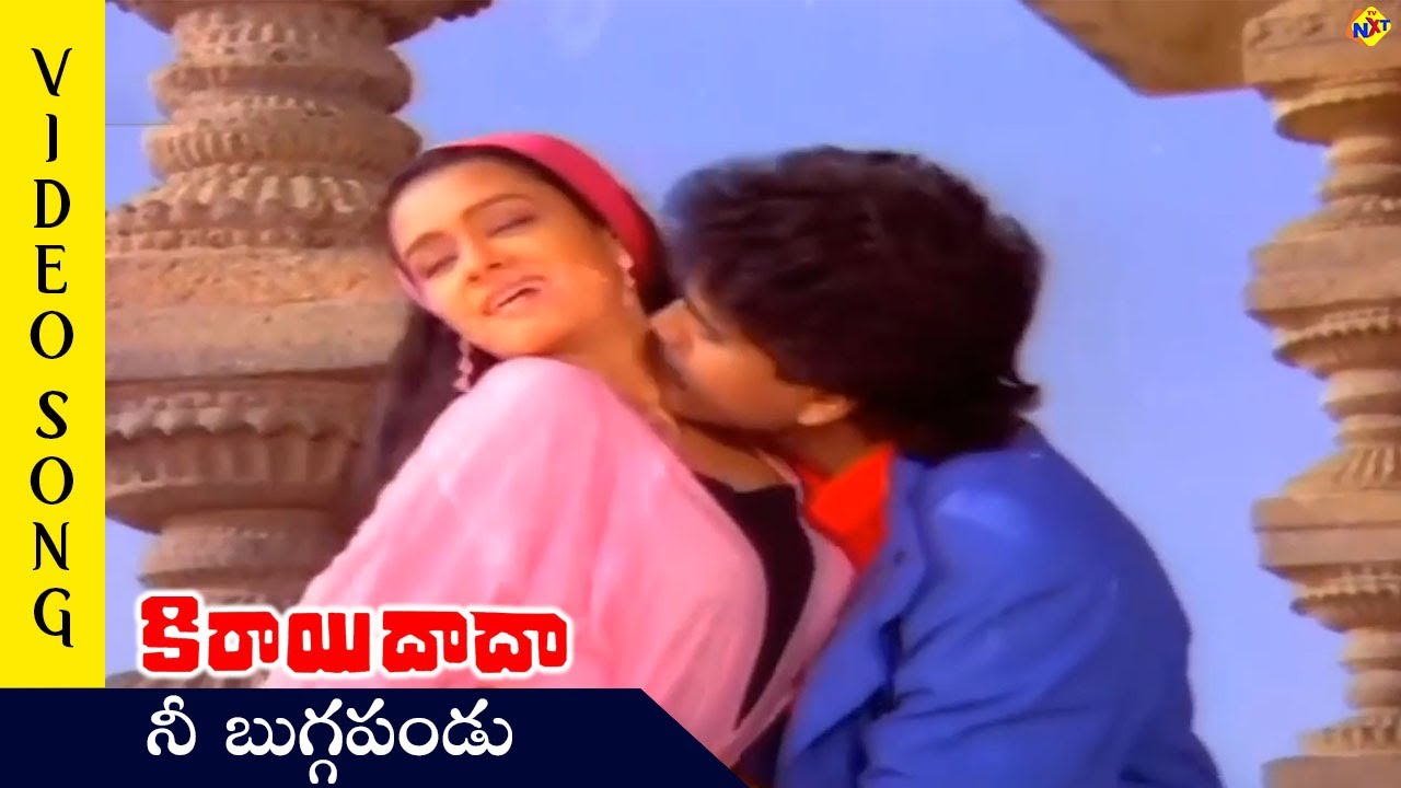 Nee Buggapandu Video Song | Kirayi Dada Movie Video Songs | Nagarjuna | Amala | TVNXT Telugu Music