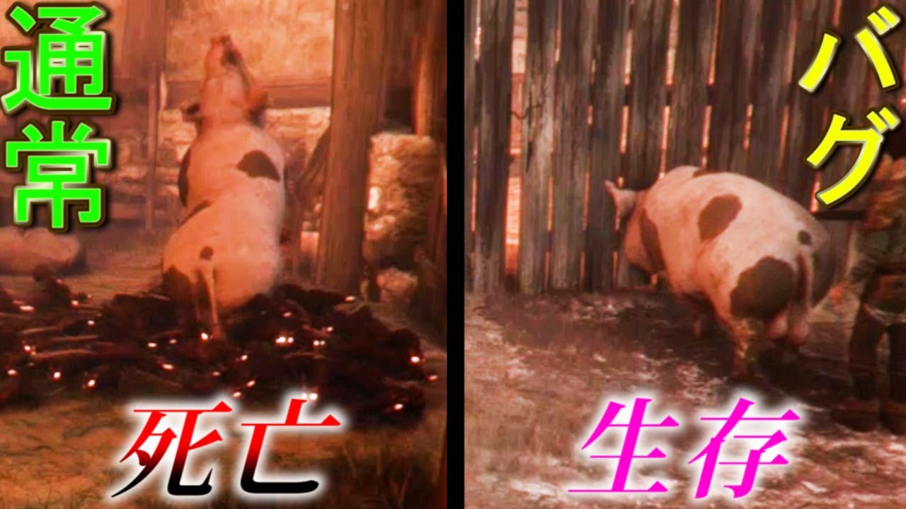 囮で死ぬ豚が生き残ったらゲームはどうなるんだろう？【プレイグ テイル　イノセンス】A Plague Tale: Innocence