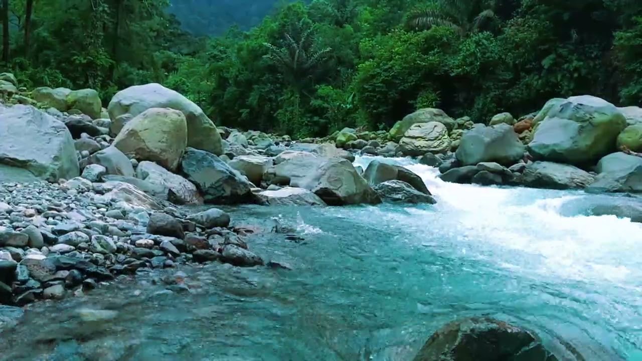 Peaceful Forest River Ambience for Deep Relaxation