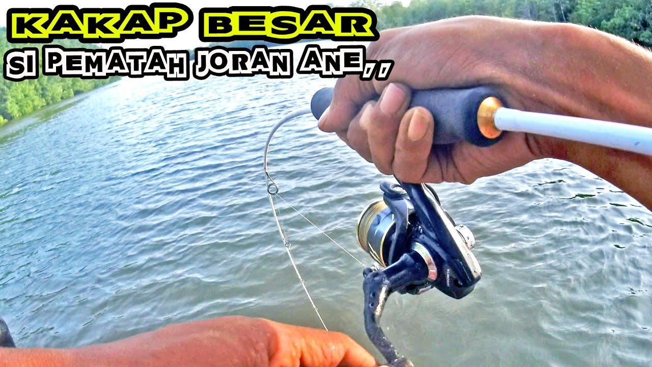 Kakap Besar Di Spot Mak Dayung