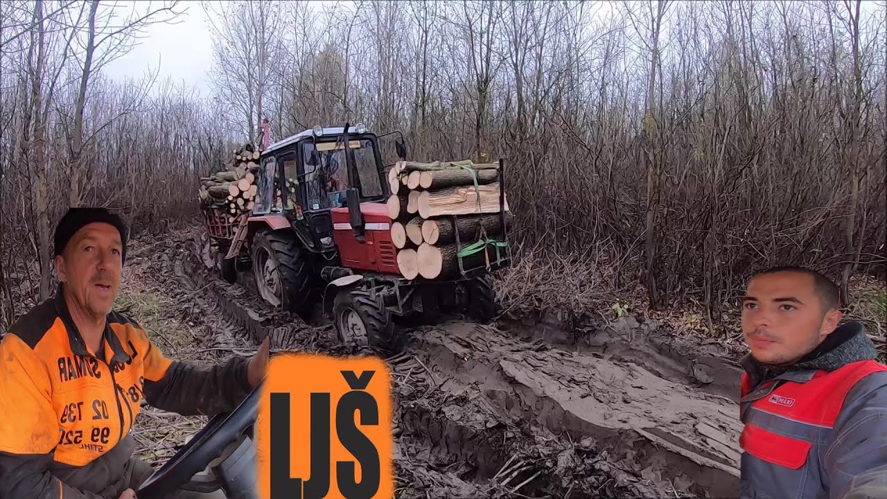 PO BLATU U ŠUMI BELARUS 820 (DULE MENADZER)*rad u šumi*