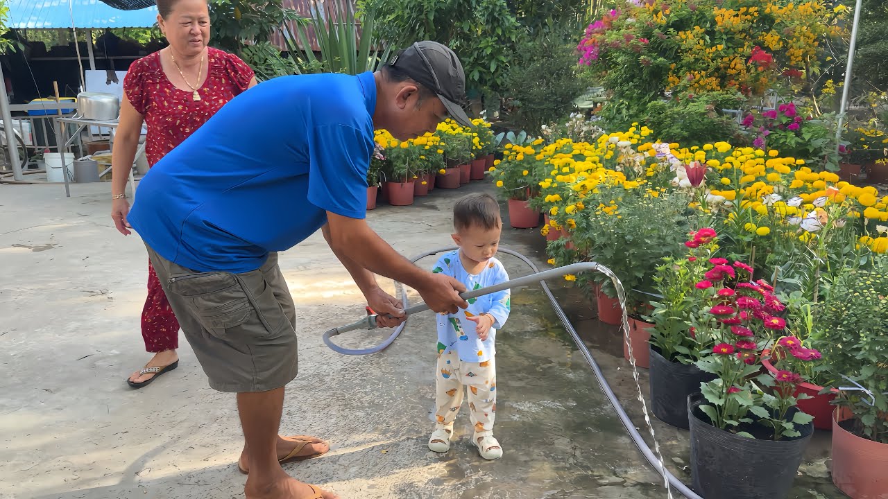 Kem Phụ Giúp Nội Chăm Sóc Hoa Ngày Tết