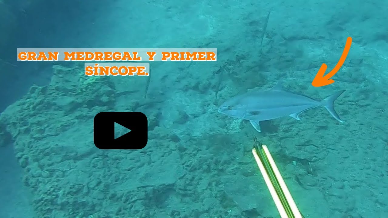GRAN MEDREGAL Y PRIMER SÍNCOPE//PESCA SUBMARINA EN TENERIFE