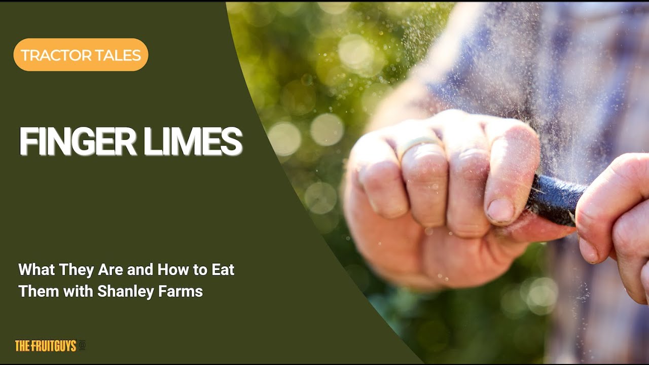 Finger Limes: What They Are and How to Eat Them (with Shanley Farms)