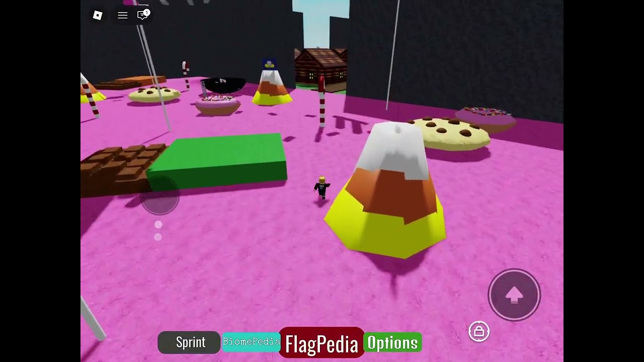 How to get Laayoune in Find The Flags by Toastyhenry5