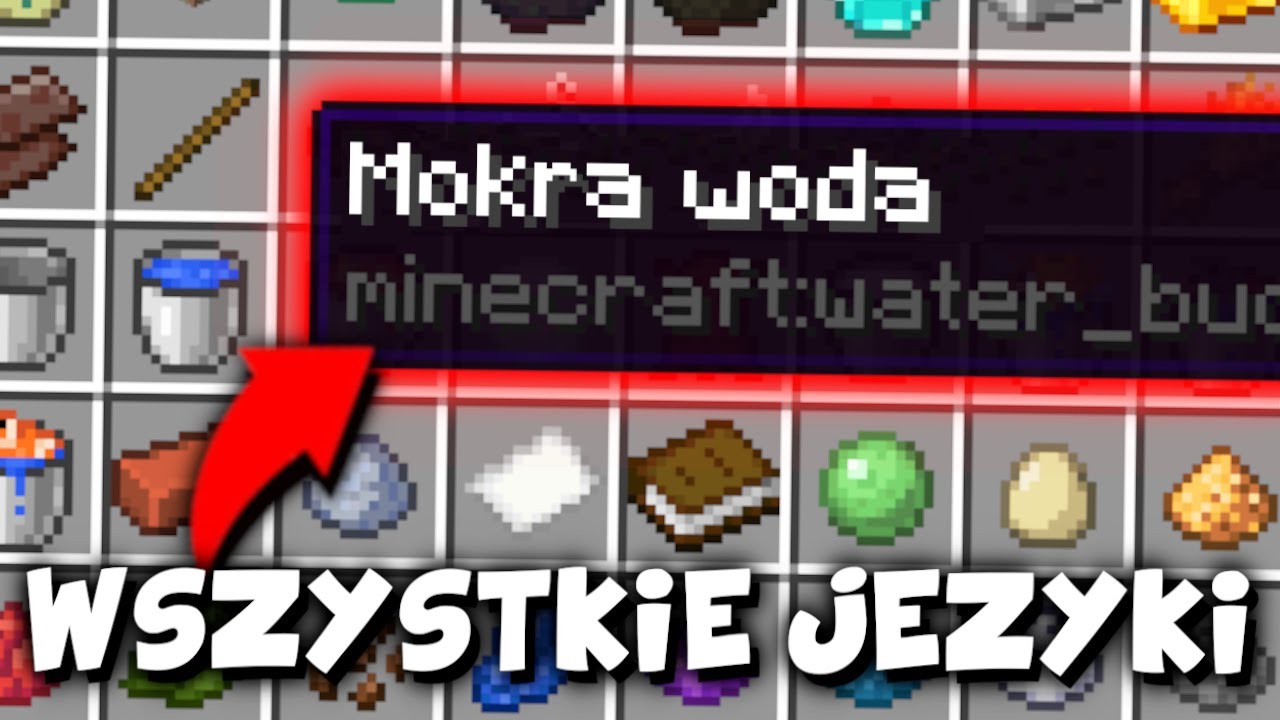 Przetłumaczyłem MINECRAFT przez WSZYSTKIE JĘZYKI z GOOGLE TŁUMACZ! *rozwala mózg XD*