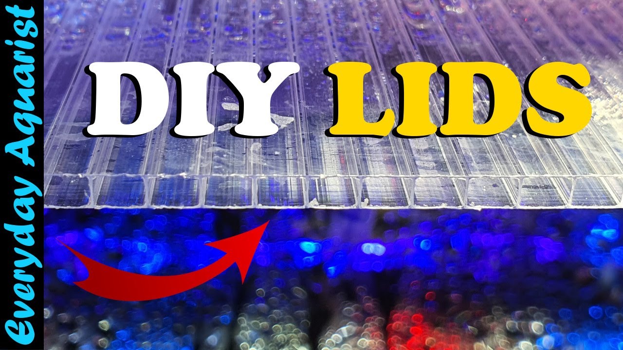 DIY Aquarium Lids | STOP EVAPORATION & Condensation From Fish Tanks