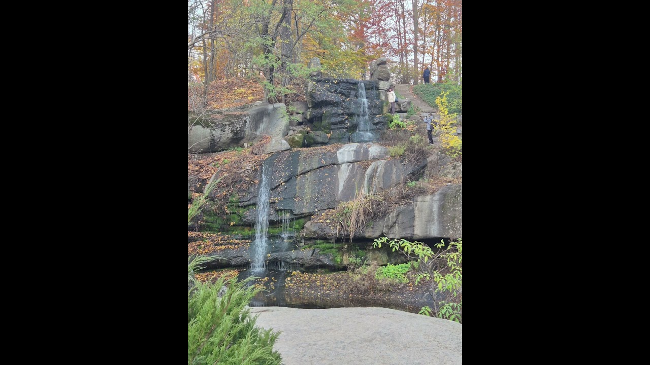 03.Wood&Voltage | Organic / Progressive Trance