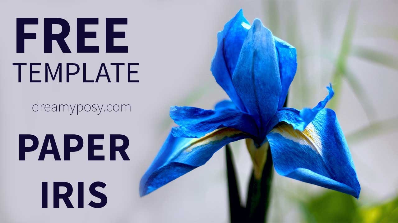 [FREE template] How to make paper Iris flower from coffee filter