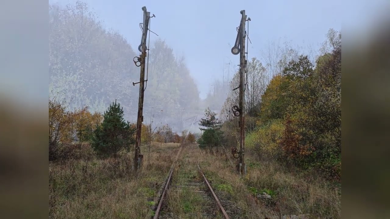 Płacz semaforów. Stacja PKP Miechucino w objęciach roślinności.