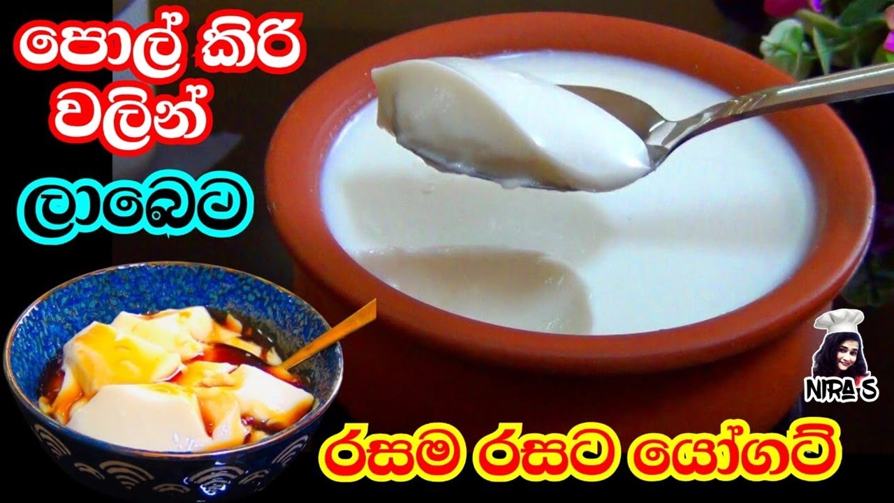 පොල් කිරි වලින් ලාබෙට යෝගට් ගෙදර හදමු | coconut milk yoghurt | කිරි පුඩින් | මුදවාපු කිරි හදමු