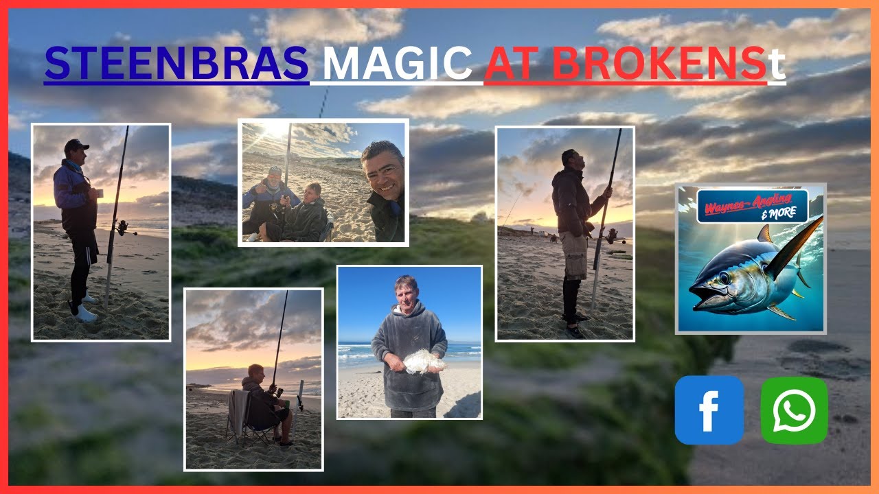 Steenbras Magic at Brokens