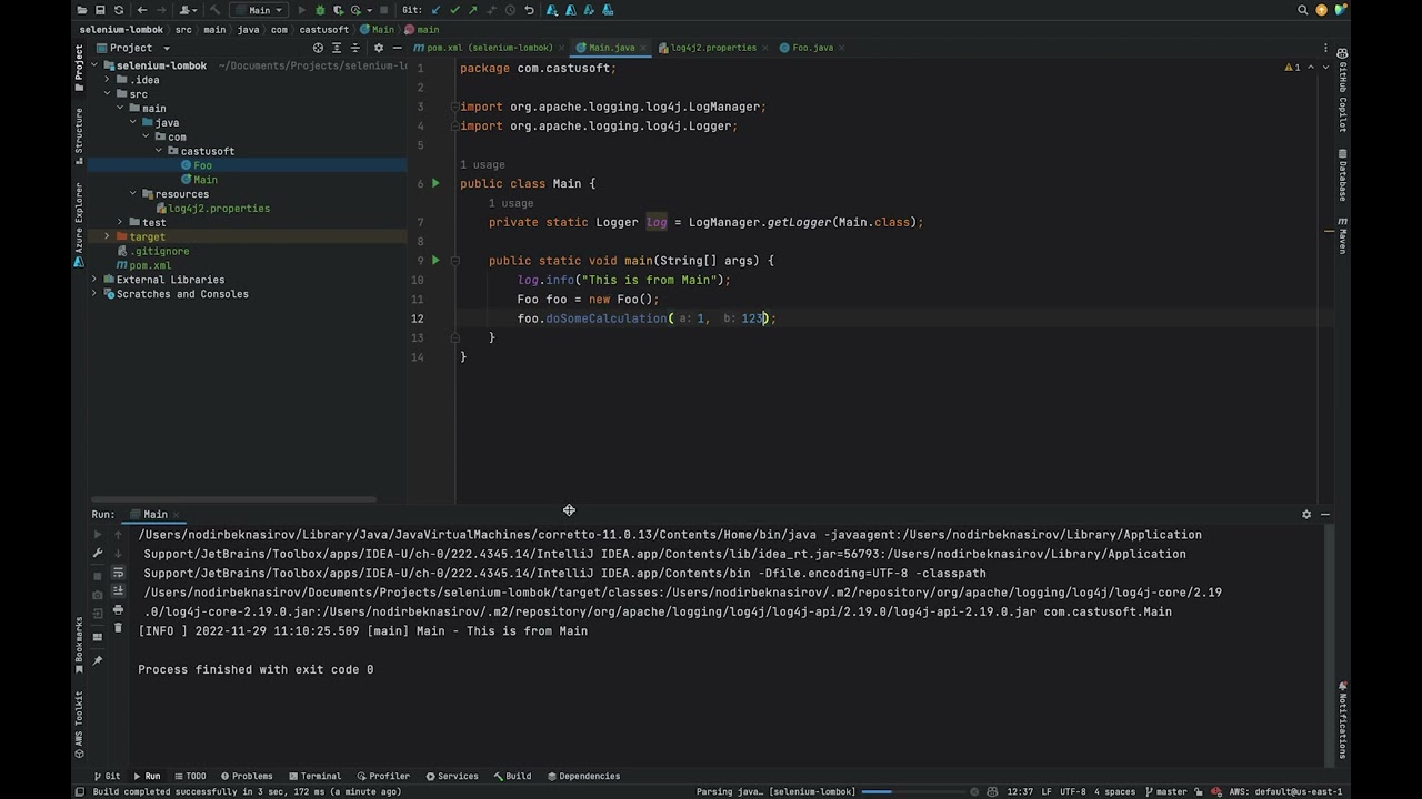 How to use lombok logging feature