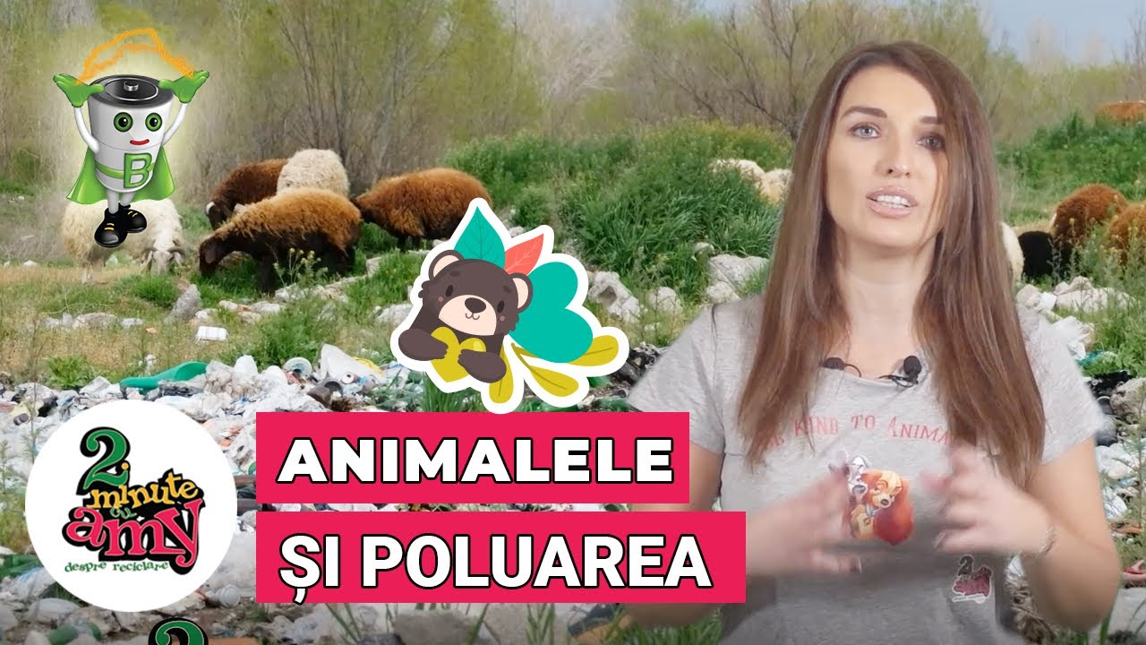 Animalele și poluarea [S2E10] 2 minute cu Amy