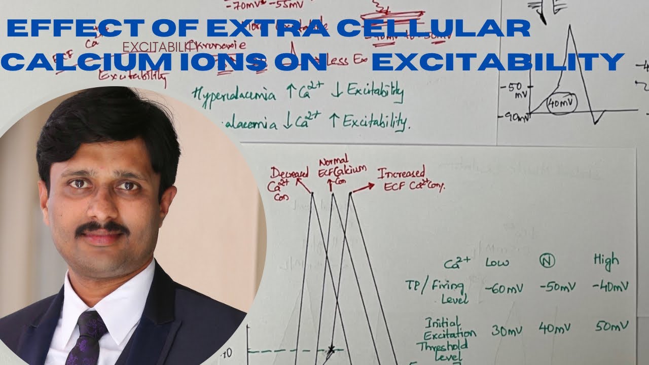 Effect of ECF Calcium ions on Excitability Part 2
