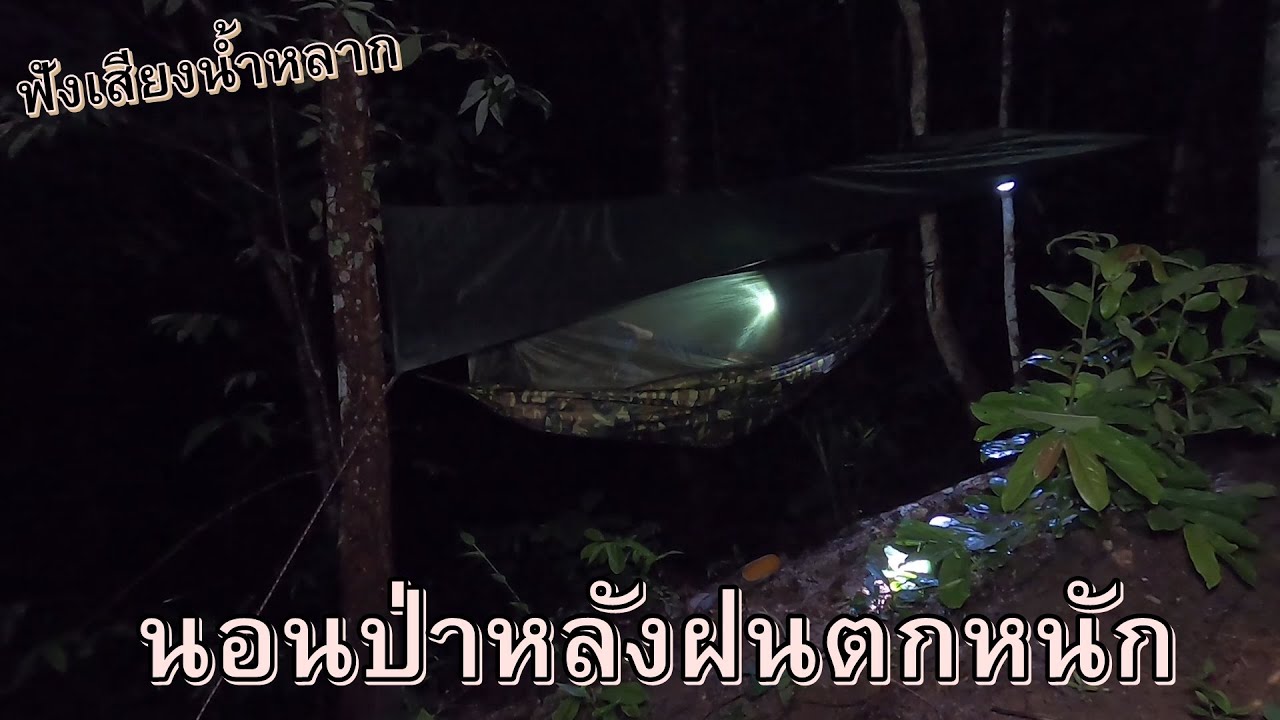 นอนฟังเสียงน้ำหลากจากบนเขา ผูกเปลนอนป่าหน้าฝน บรรยากาศในป่าหลังฝนตกหนัก| นอก บ้าน